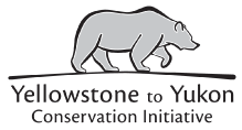 Yellowstone-to-Yukon-Logo.png